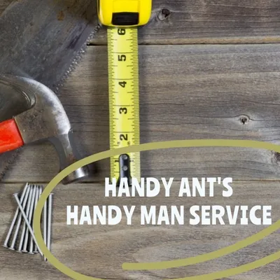 Handy Ant's Handy man service