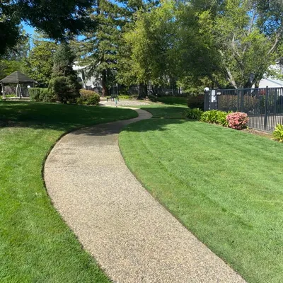 Always Green Lawn & Tree Service