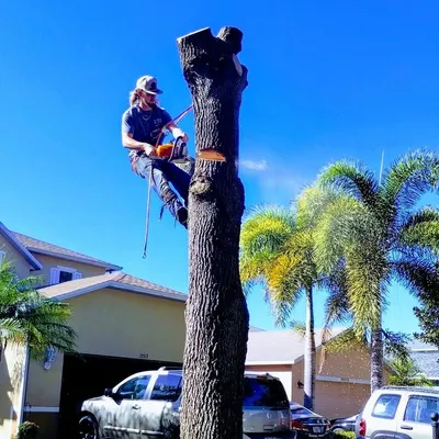 All American Tree Service