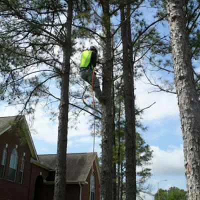 Crystal Tree Service