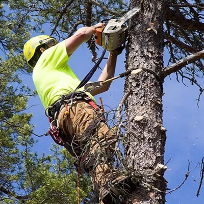 Nic's Works LLC Tree Service