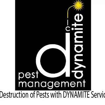Dynamite Pest Management