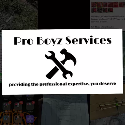 Pro Boyz Services