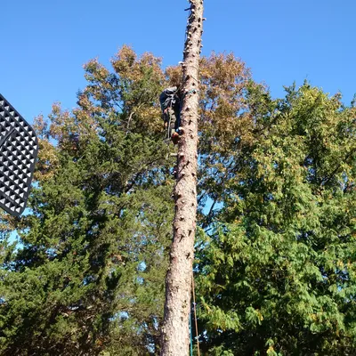 Ross Tree and Contracting, Inc.