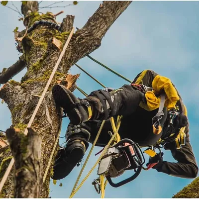 INNOVATIONS TREE SERVICE FENCE DECK-REPAIR