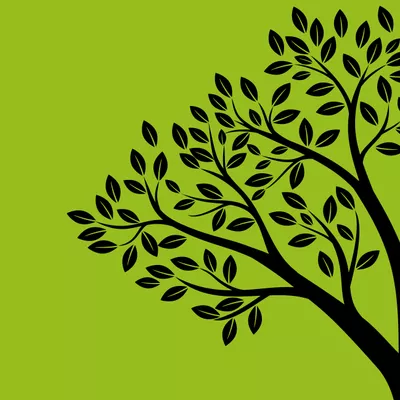 Agosto Landscaping Services