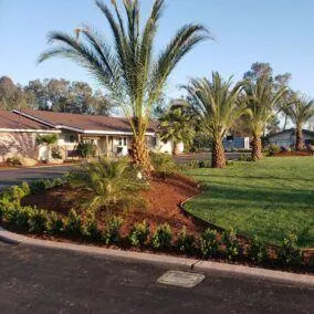 California Shine Construction