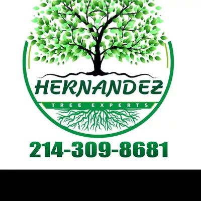 ?Hernandez Tree Experts?