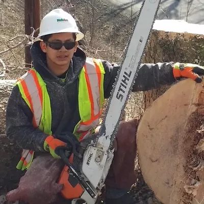 Asap Tree Services