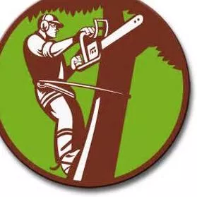 Franklin & Son Tree And Lawn Services