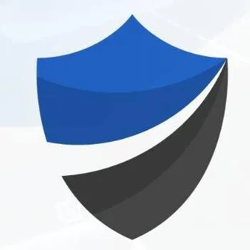 MSLS PARTNERS LLC