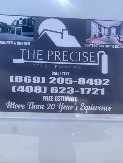 The Precise Touch Painting