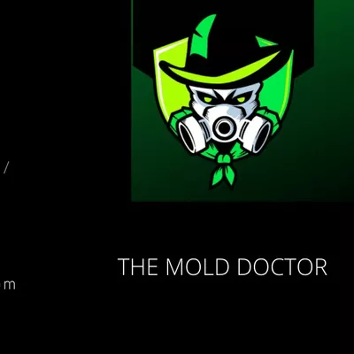 NEW IMAGE MOLD DOCTORS LLC