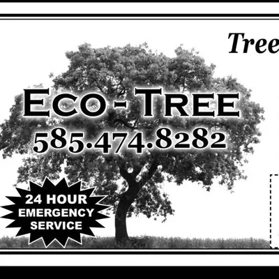 EcoTreeLLC