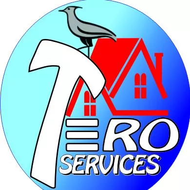 Tero Services (Painting & Remodeling)