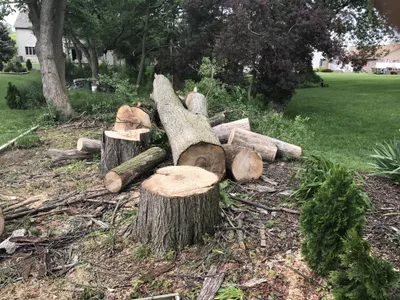 Jef. R. Maintenance &Tree Service