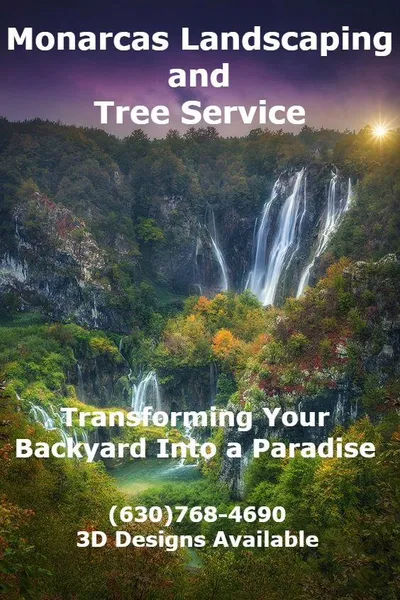 Monarcas Landscape and Tree services