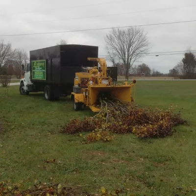 AP Tree Service LLC