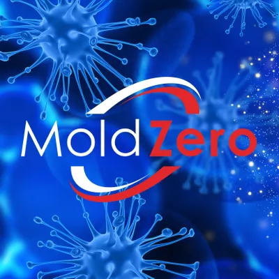Mold Zero