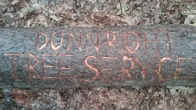 Dunn Right Tree service