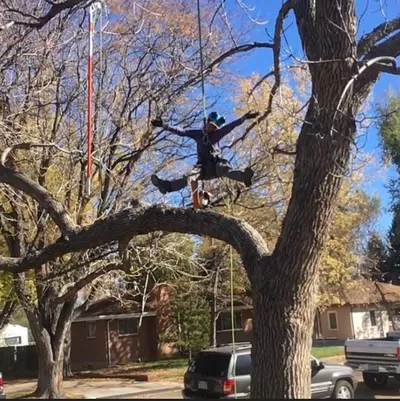Blue Treeper Arbor Care