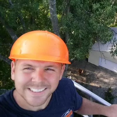 RD Tree Removal