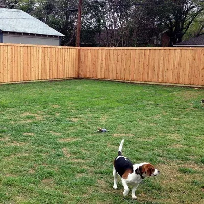 The Colorado Fence Company