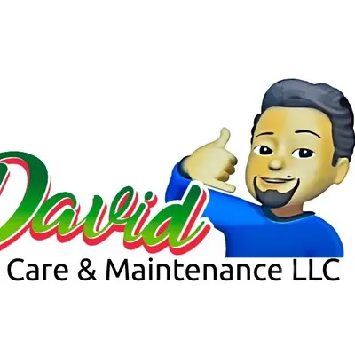 DAVID LAWN CARE AND MAINTENANCE LLC