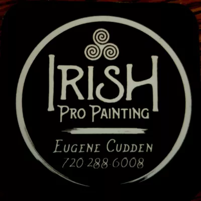 Irish Professional Painting