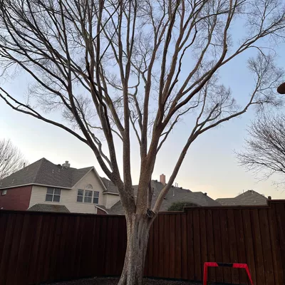 ?H. Tree Services ?
