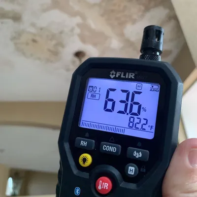 Mold Response Team