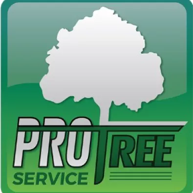 Pro Tree Service
