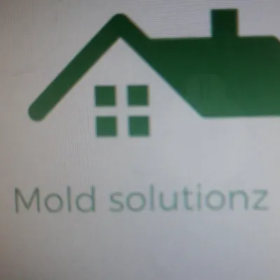 Mold Solutionz 24/7 LLC