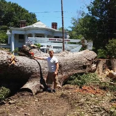 Quintal Tree Service