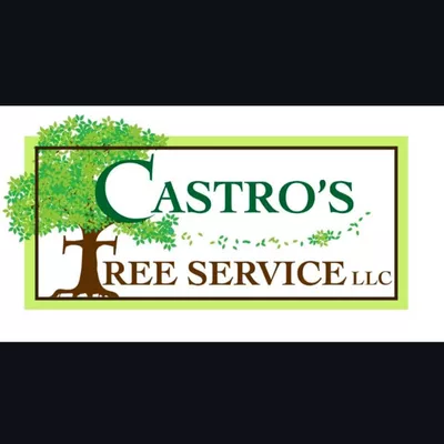 Castro’s Tree Service LLC