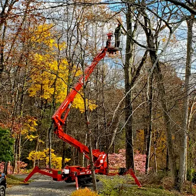 Tree Fellers, Inc.
