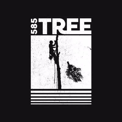 585 Tree