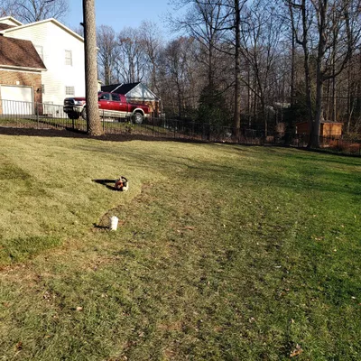 cesarexperttreecervice's and lawndscaping