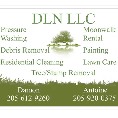 DLN LLC