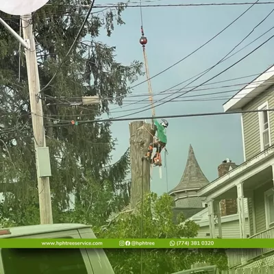 HPH Tree Service