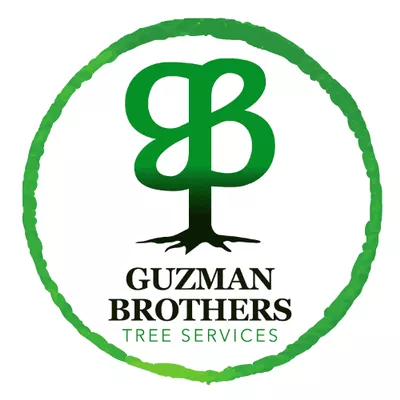 Guzman Brothers Tree Services, LLC