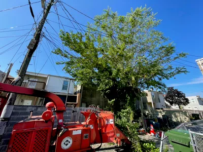 Andrade’s Tree Service LLC