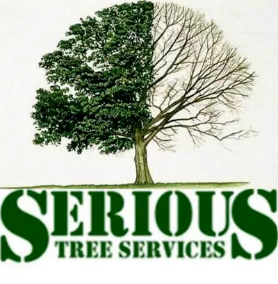 Serious Tree Services