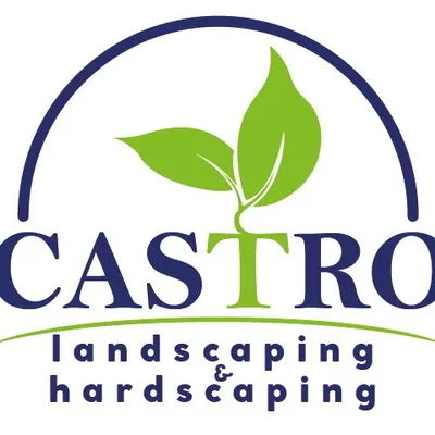 Castro landscaping LLC
