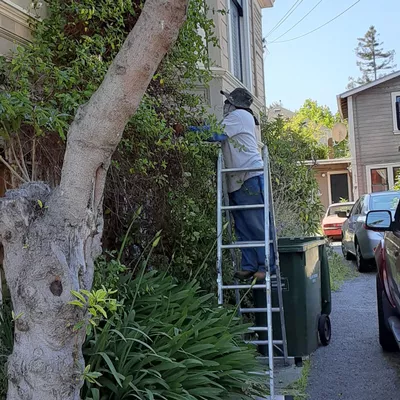 Gardening Cruz