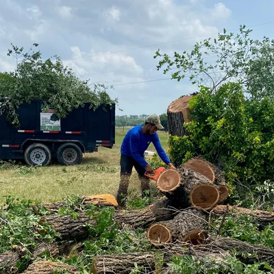 Jose Tree Service