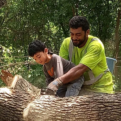 Monkey Trees Service
