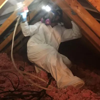 Chicago Mold Remediators