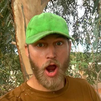 Tree Trimming & Removal