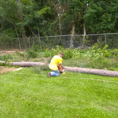Lj's tree removal and sod installation